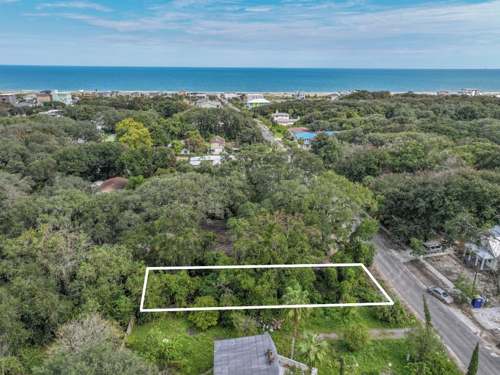 0 Lewis Street Fernandina Beach, FL 32034 - Photo 11 of 12 an aerial view of residential houses with outdoor space