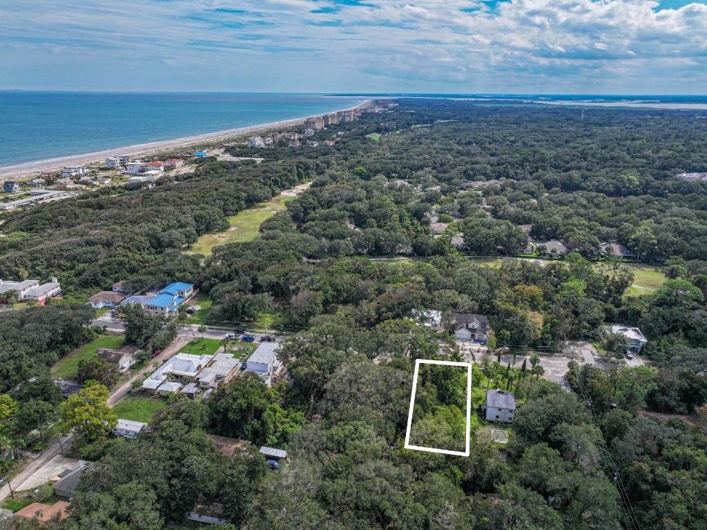 0 Lewis Street Fernandina Beach, FL 32034 - Photo 4 of 12 an aerial view of a house with a yard