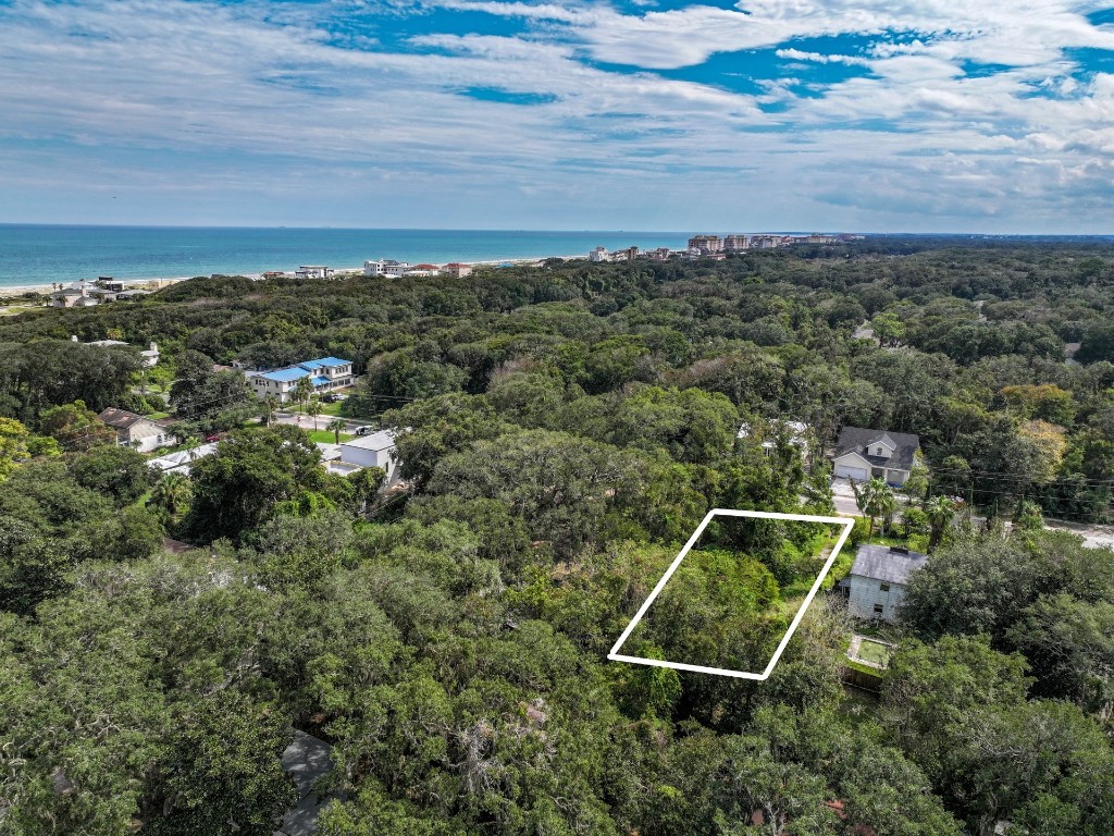 0 Lewis Street Fernandina Beach, FL 32034 - Photo 5 of 12 an aerial view of a house