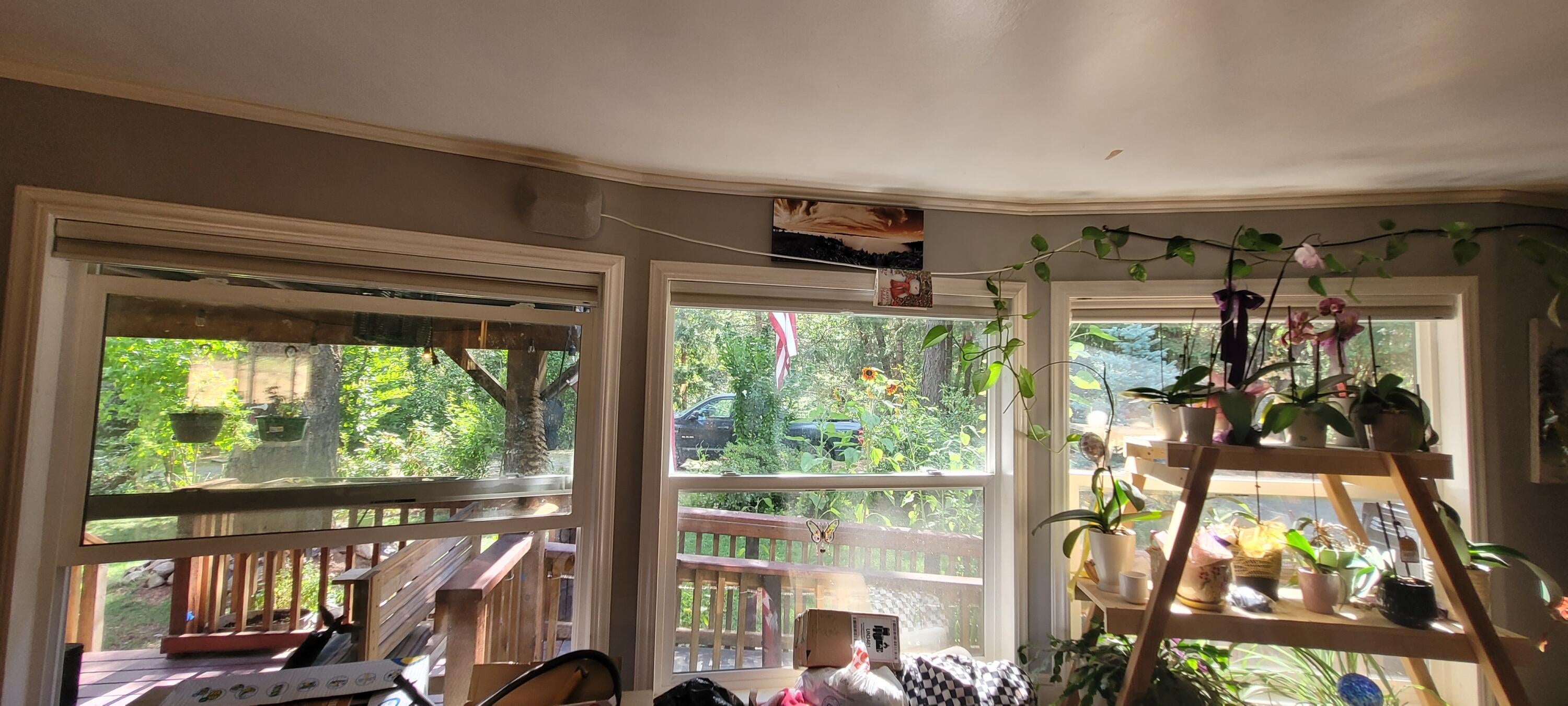 Floor to ceiling windows in family room.