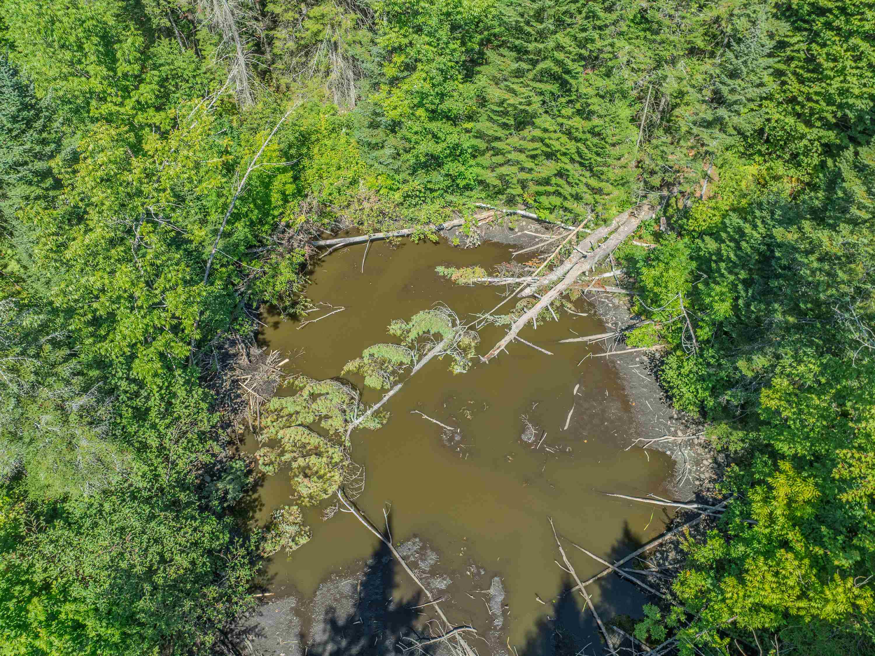 0 Old Waterford Road Littleton, NH 03561 - Photo 3 of 14