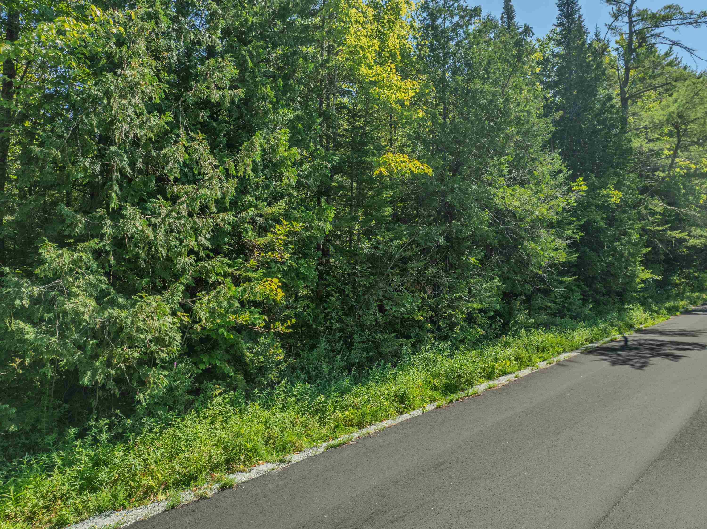 0 Old Waterford Road Littleton, NH 03561 - Photo 5 of 14