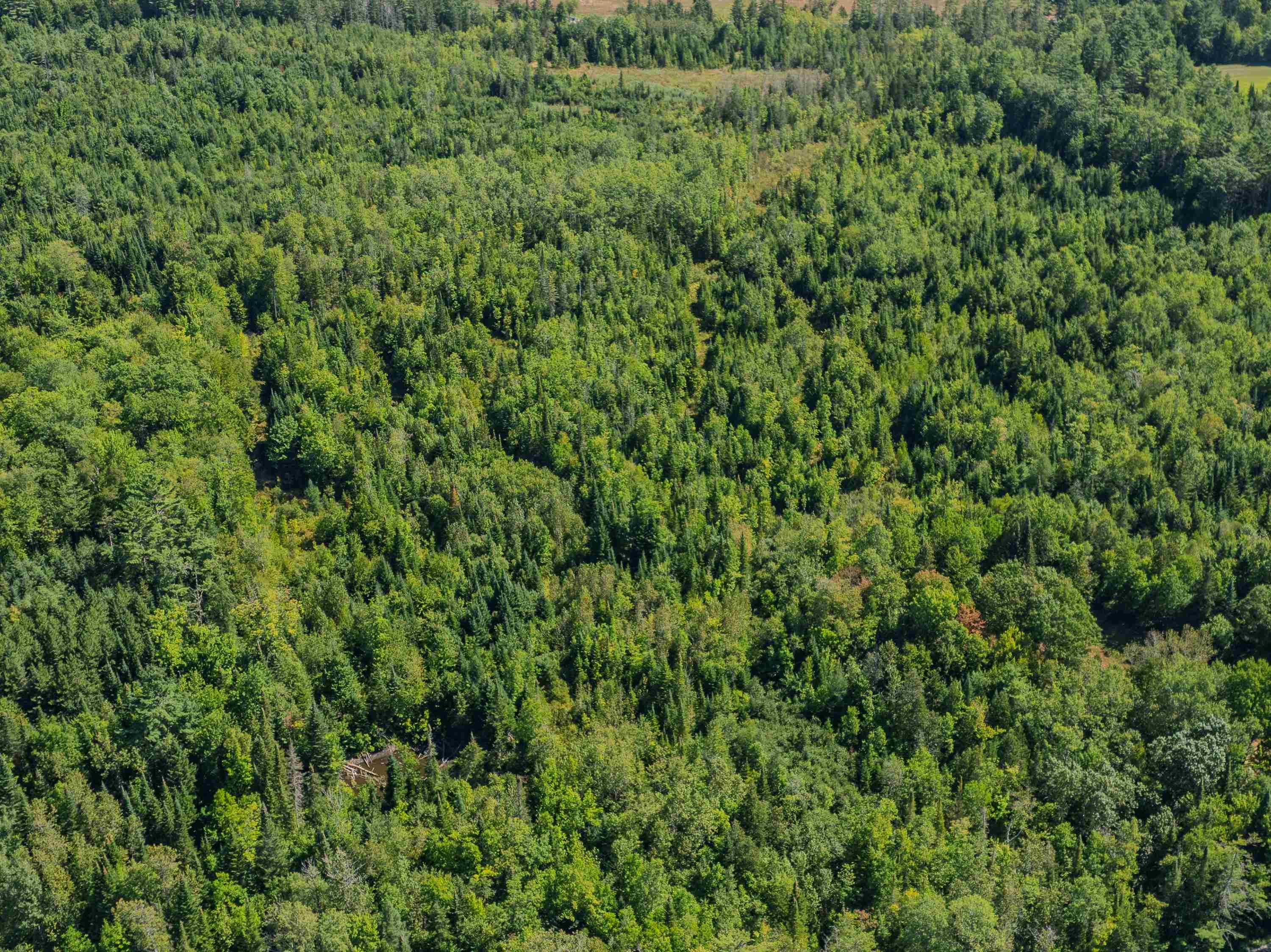 0 Old Waterford Road Littleton, NH 03561 - Photo 8 of 14