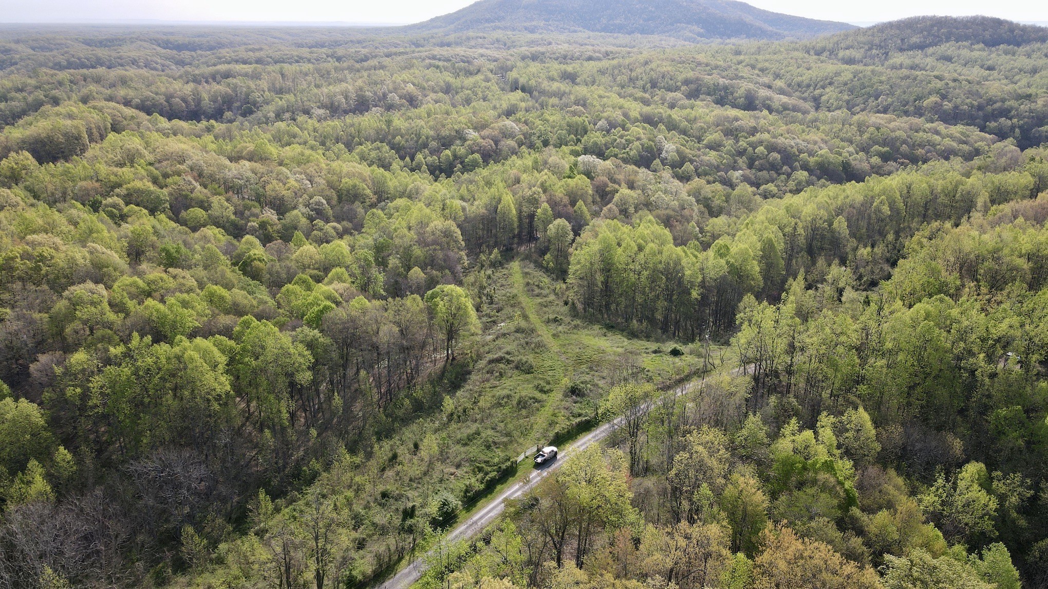 0 Womack Hollow Road Liberty, TN 37095 - Photo 2 of 8 Gallery Image 2
