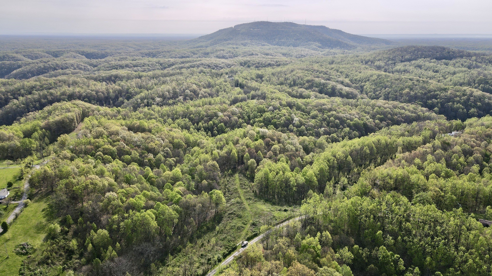 0 Womack Hollow Road Liberty, TN 37095 - Photo 3 of 8 Gallery Image 3