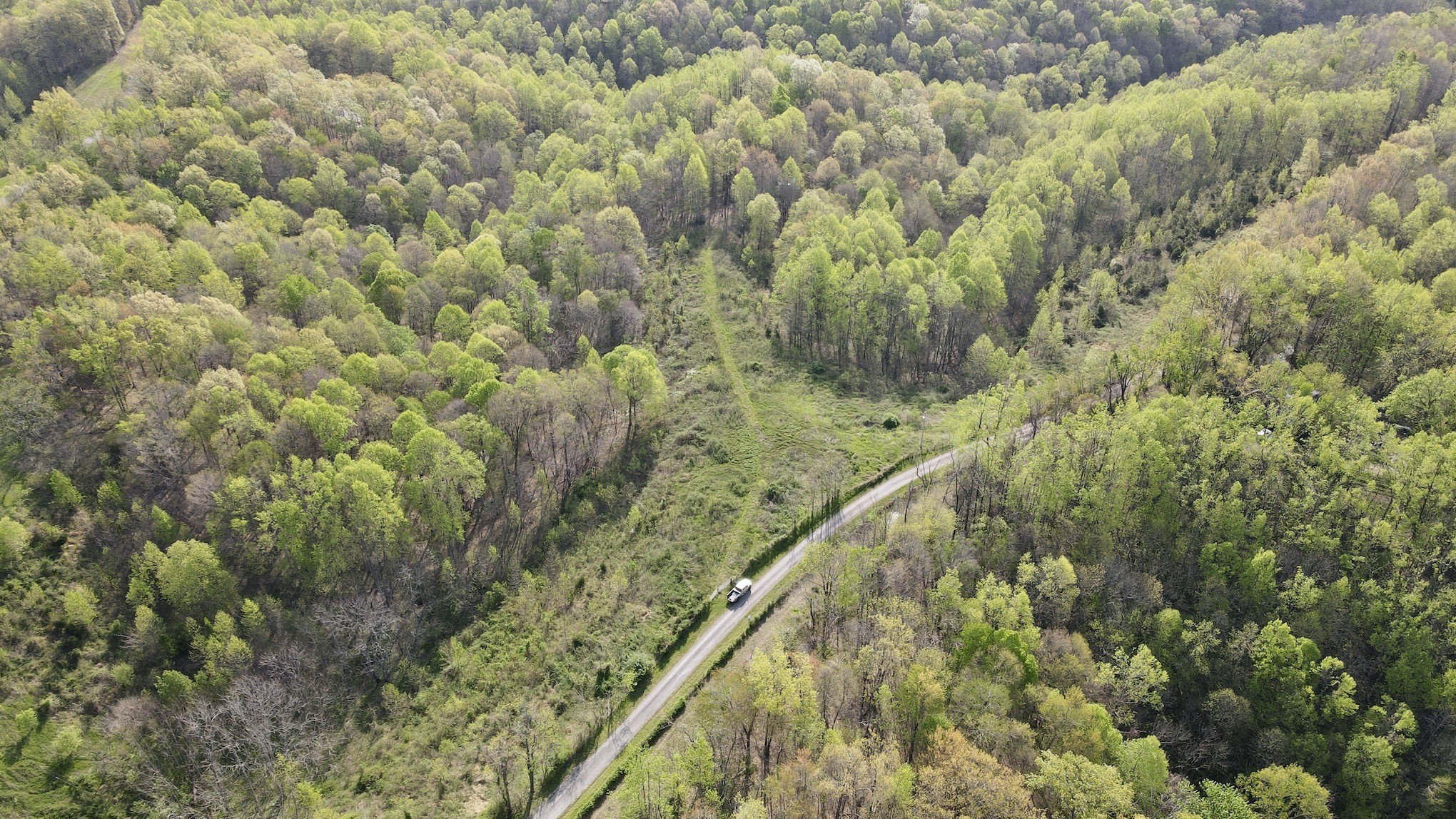 0 Womack Hollow Road Liberty, TN 37095 - Photo 4 of 8 Gallery Image 4