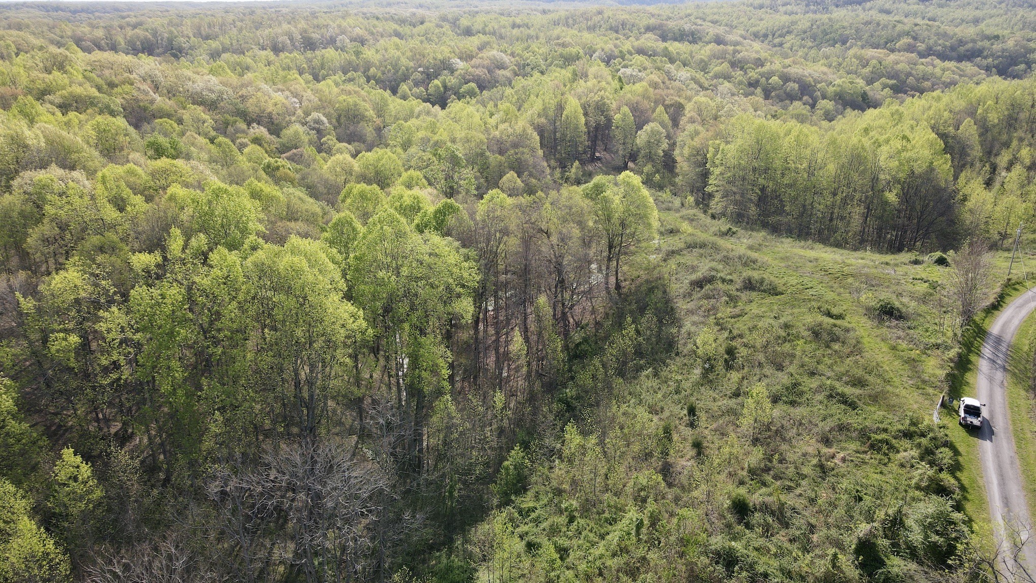 0 Womack Hollow Road Liberty, TN 37095 - Photo 6 of 8 Gallery Image 6