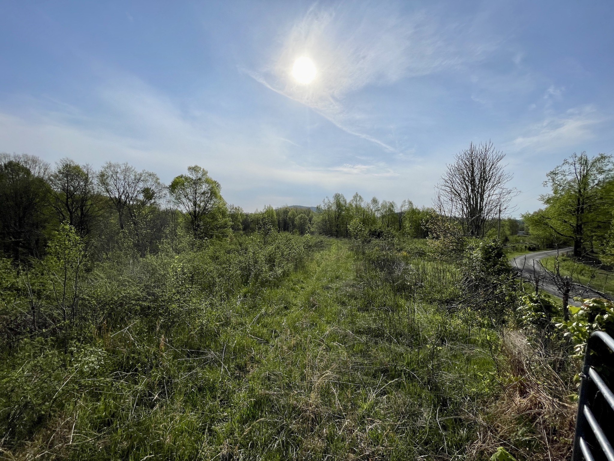 0 Womack Hollow Road Liberty, TN 37095 - Photo 7 of 8 Gallery Image 7