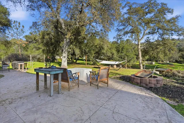 a view of a patio with table and chairs potted plants and a large tree