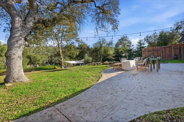 a view of a park with large trees