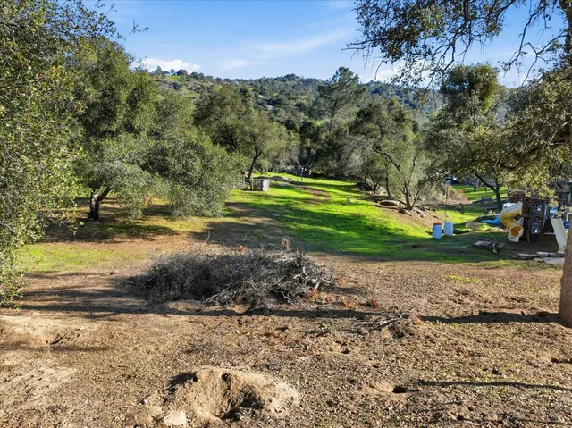 a view of a park with large trees