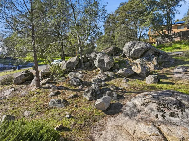 a view of a forest with trees
