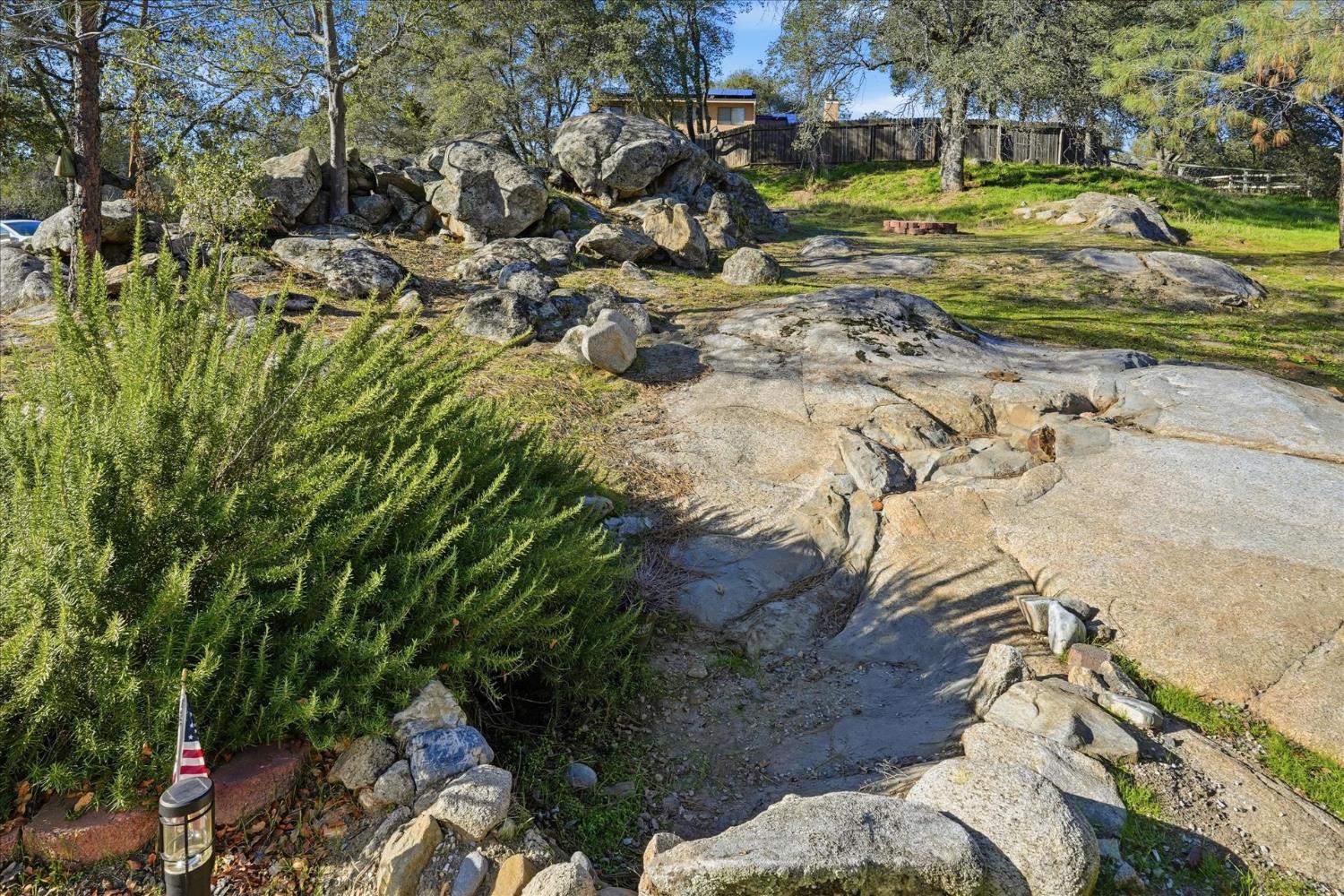 31083 Moccassin Court Coarsegold, CA 93614 - Photo 42 of 42 a view of a yard with plants