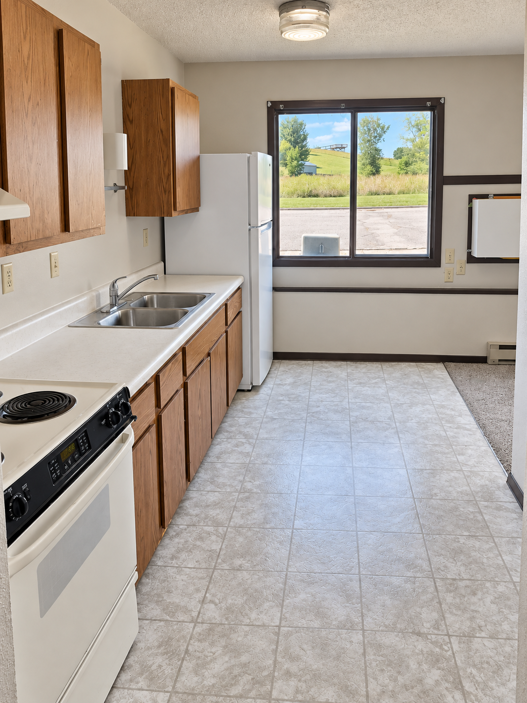 700 3rd Street, Unit 4 Barrett, MN 56311 - Photo 1 of 9 Gallery Image 1