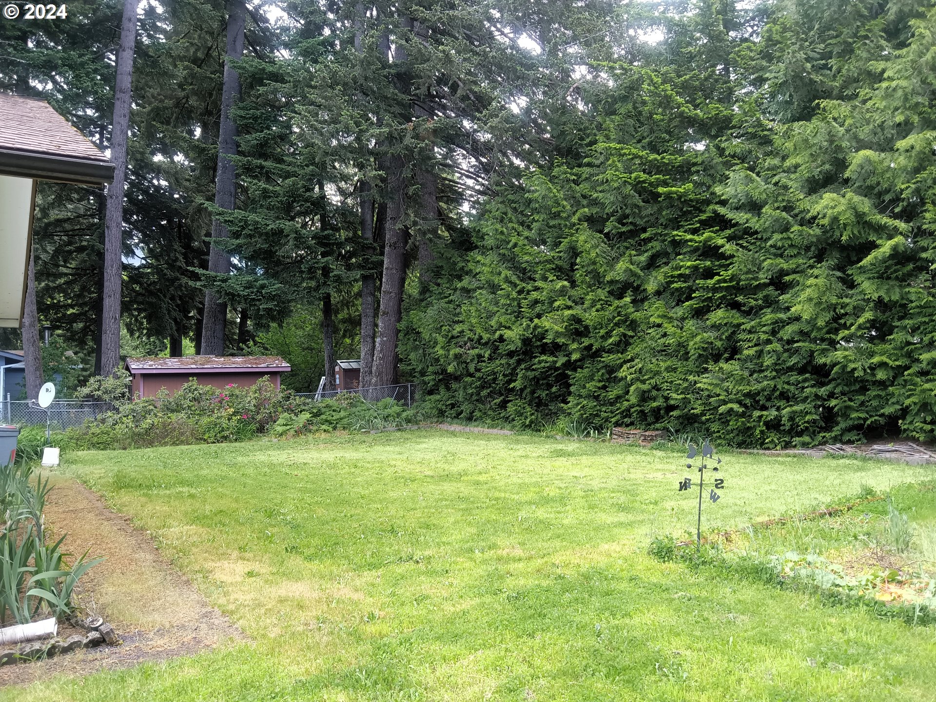 102 Vine Maple Loop Carson, WA 98610 - Photo 5 of 16 Gallery Image 5