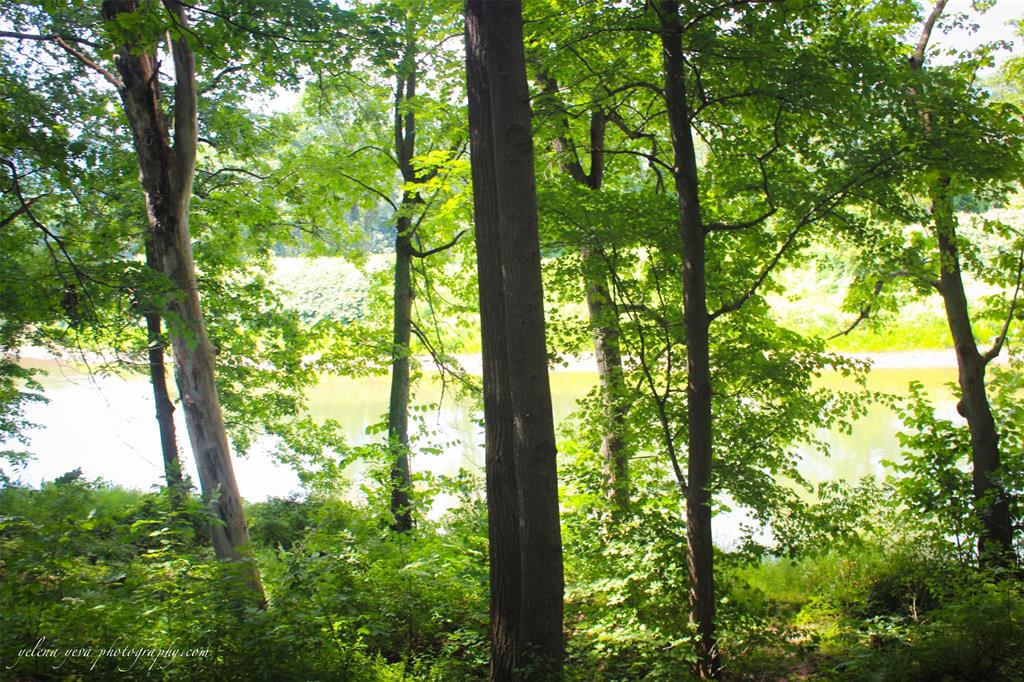 177 Dutchtown Road Windsor, NY 13826 - Photo 47 of 49 Gallery Image 47