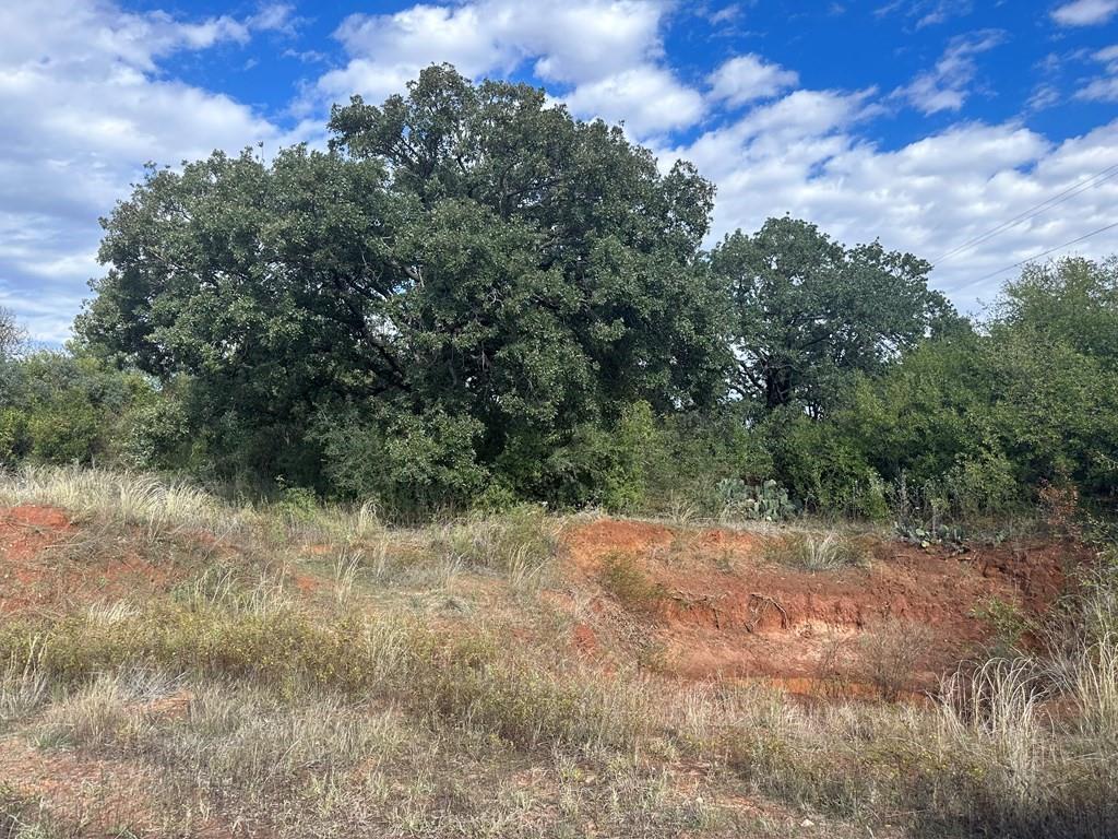 View of local wilderness