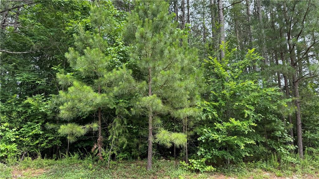 1053 Inlet Point Drive Salisbury, NC 28146 - Photo 6 of 19 Lot 30