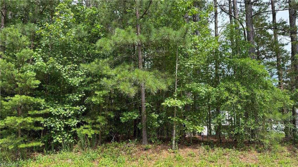 1053 Inlet Point Drive Salisbury, NC 28146 - Photo 7 of 19