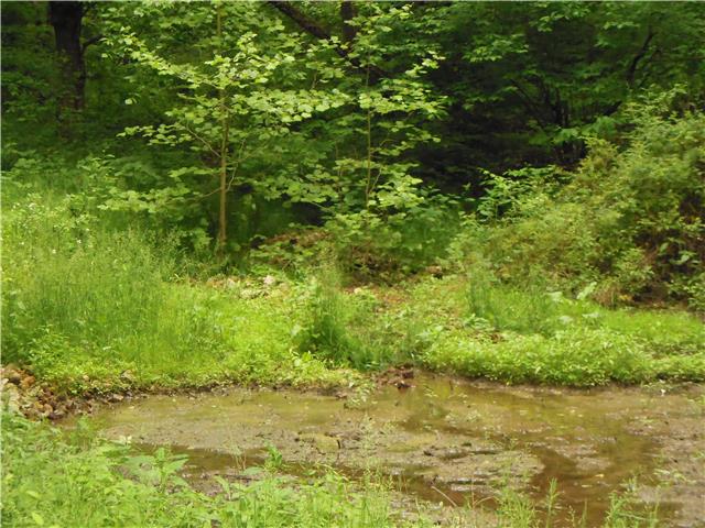 1479 Fairview Road Lynnville, TN 38472 - Photo 14 of 19 Gallery Image 14