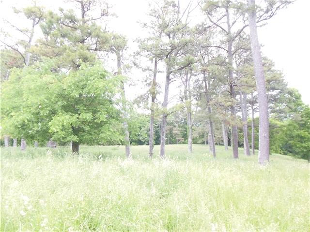 1479 Fairview Road Lynnville, TN 38472 - Photo 17 of 19 Gallery Image 17
