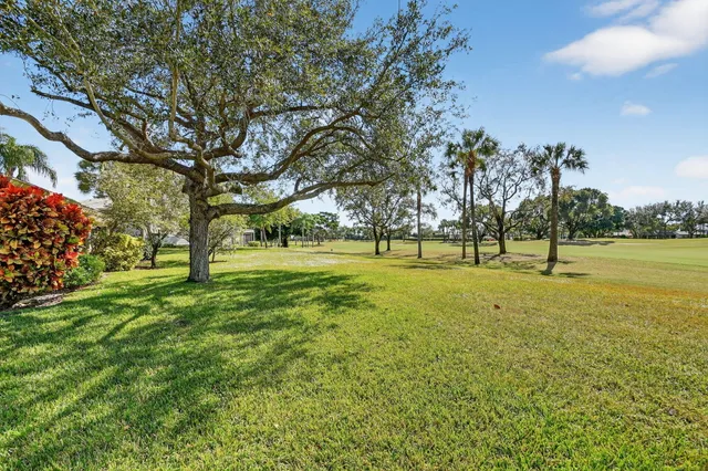 a view of a park with large trees
