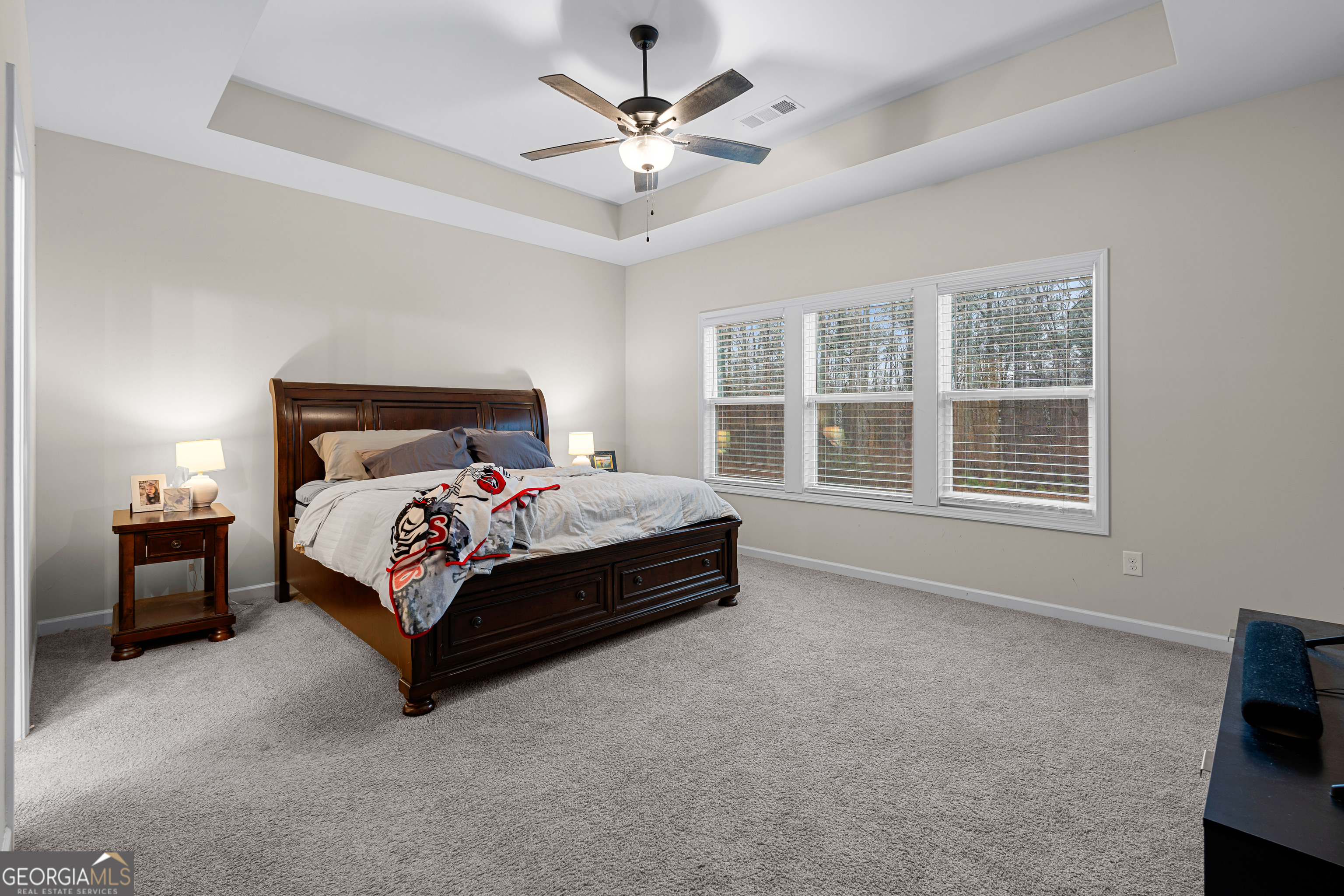 237 Sagebrook Lane Newnan, GA 30263 - Photo 25 of 55