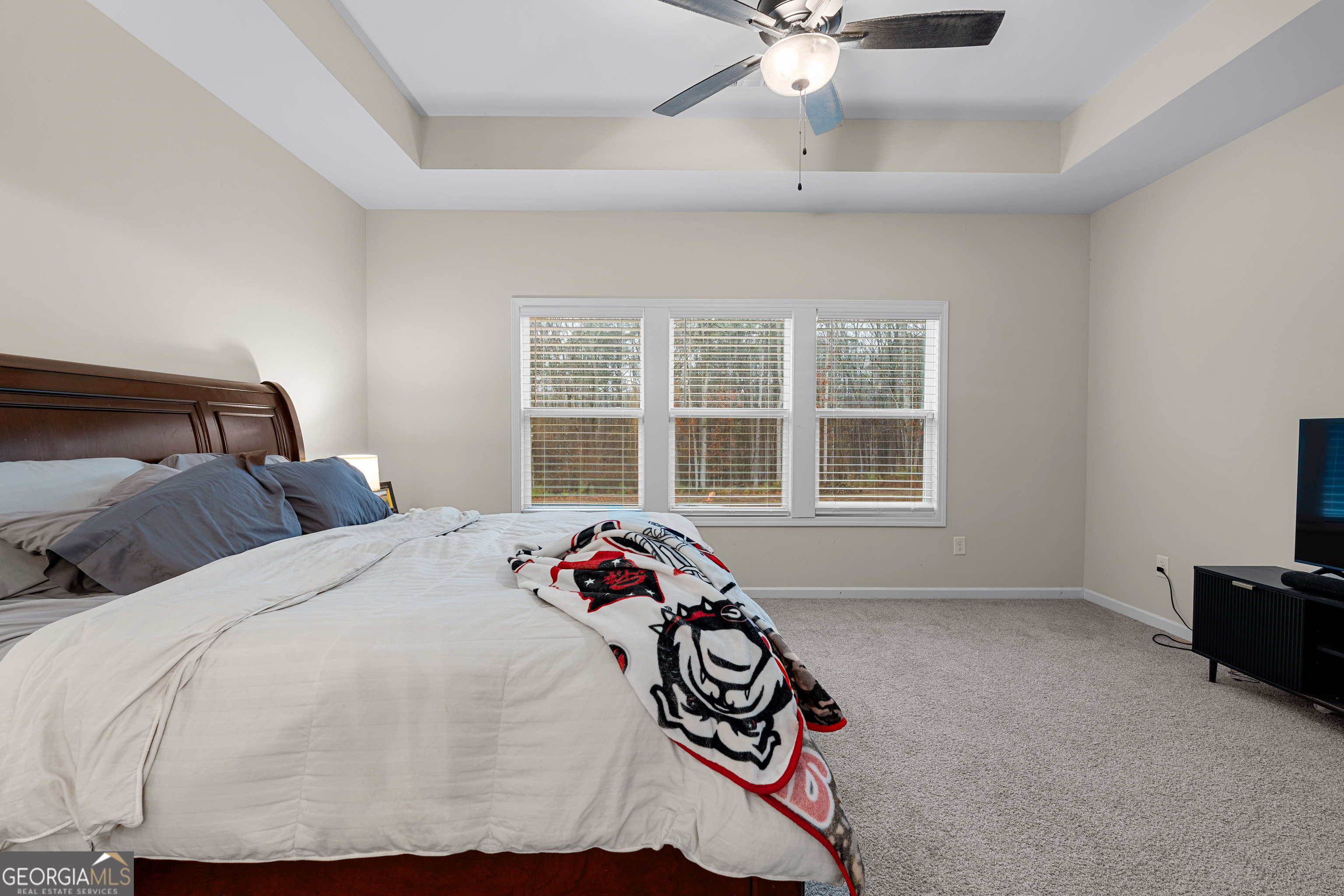 237 Sagebrook Lane Newnan, GA 30263 - Photo 27 of 55