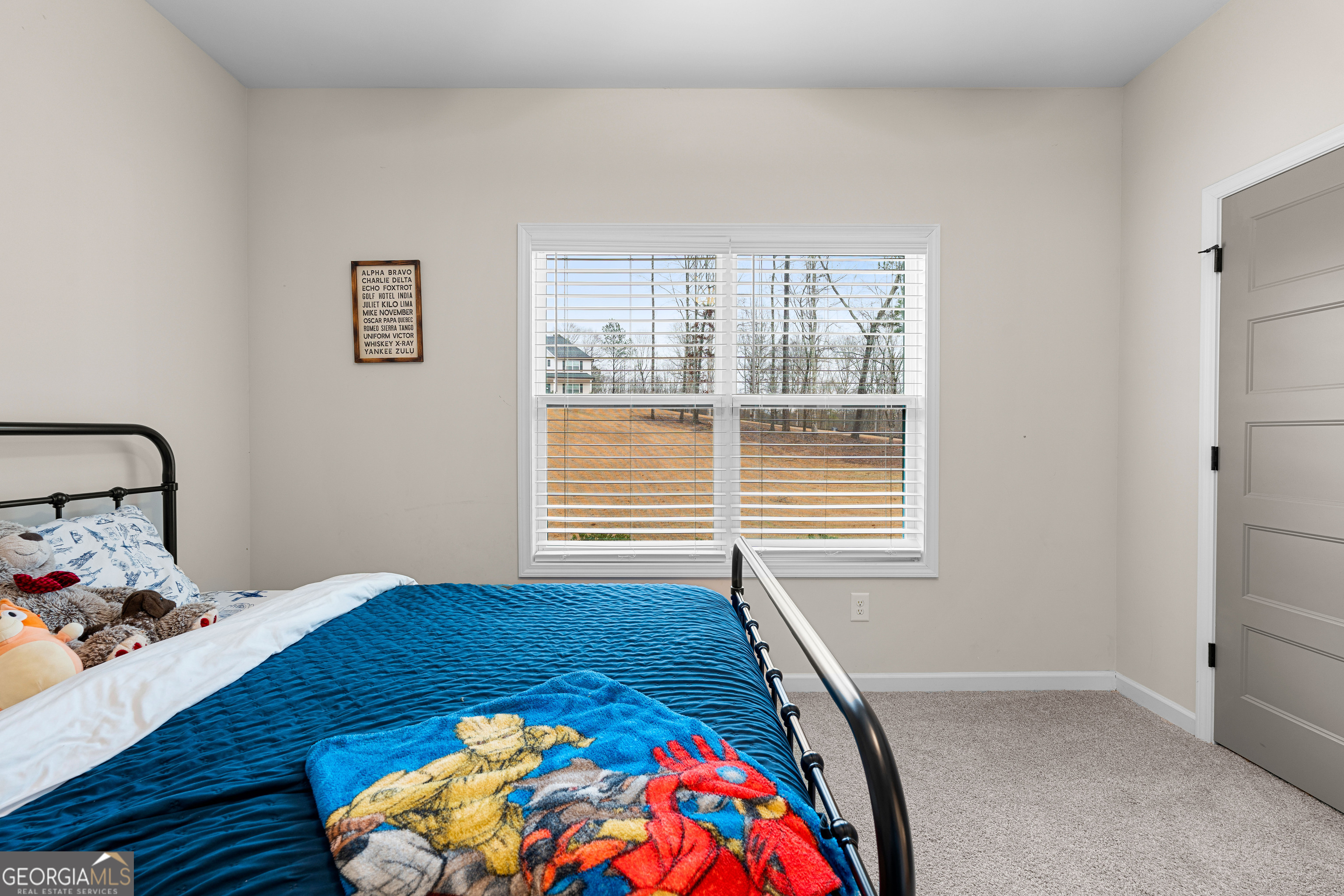 237 Sagebrook Lane Newnan, GA 30263 - Photo 36 of 55