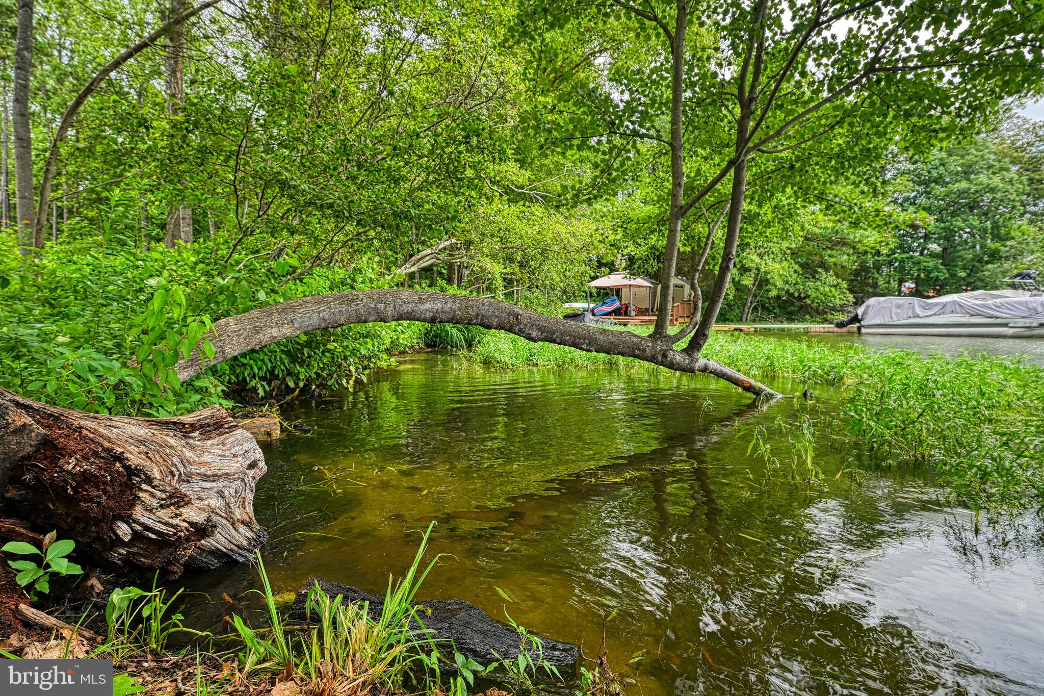 5727 Private Road Mineral, VA 23117 - Photo 42 of 115