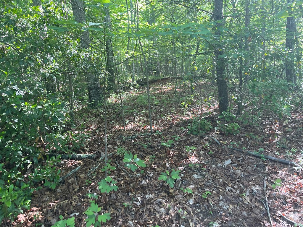 0 Roberts Road Murphy, NC 28906 - Photo 3 of 4