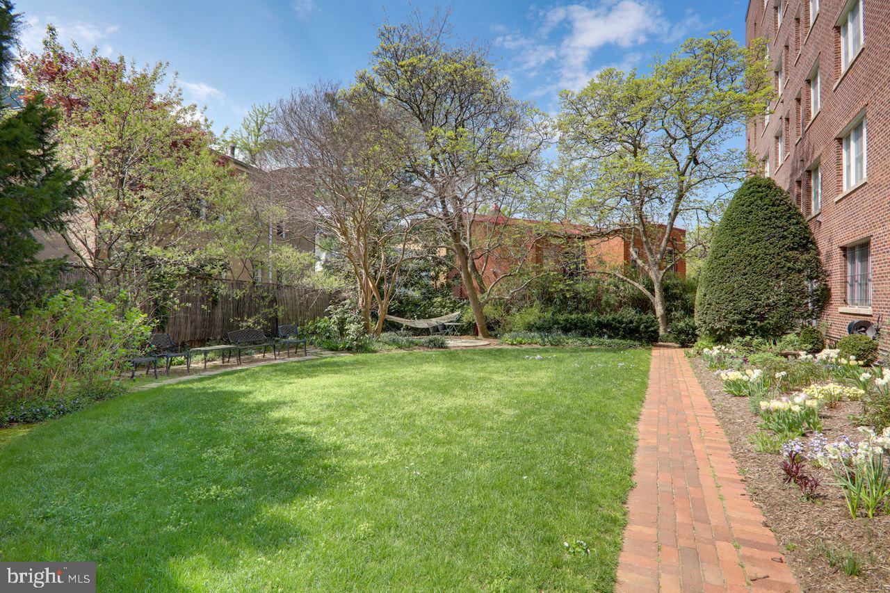 1661 Crescent Place Northwest, Unit 408 Washington, DC 20009 - Photo 54 of 57 Common Area Side Lawn for West Elevation