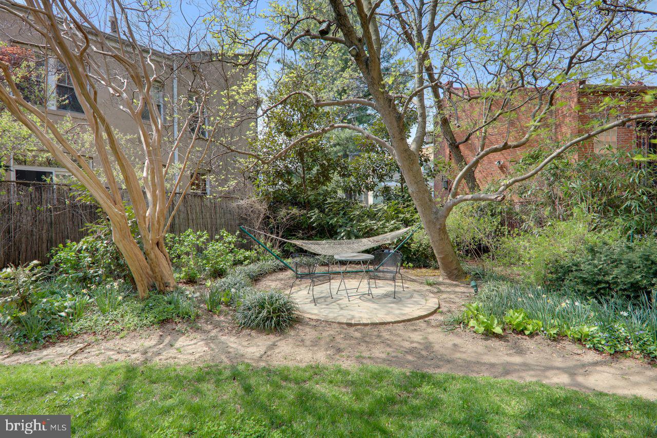 1661 Crescent Place Northwest, Unit 408 Washington, DC 20009 - Photo 56 of 57 Common Area Side Yard for Relaxation