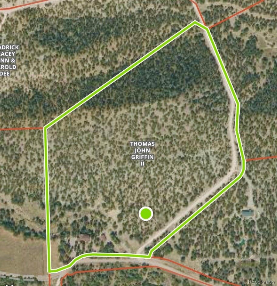 990 Hamilton Creek Road Coaldale, CO 81222 - Photo 46 of 46