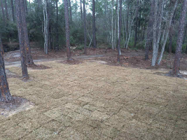 4640 Spinnaker Way Orange Beach, AL 36561 - Photo 24 of 25 back yard 1
