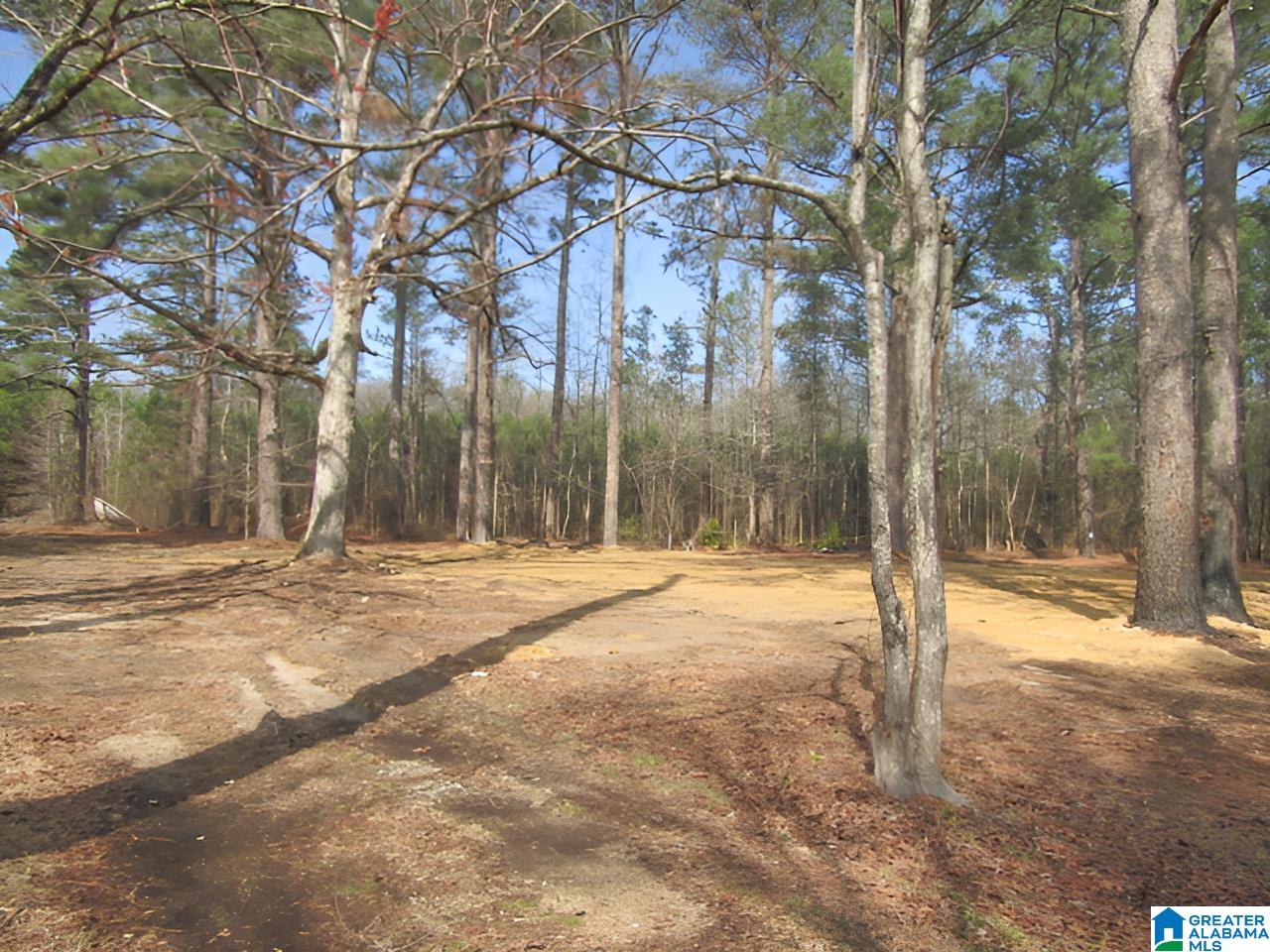 4429 Roy Webb Road Jacksonville, AL 36265 - Photo 18 of 26