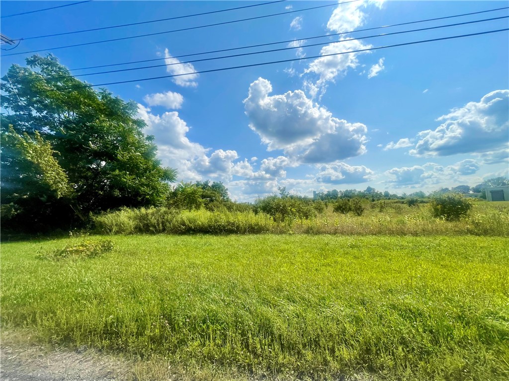 0 Dunn Road Lyons, NY 14489 - Photo 1 of 1