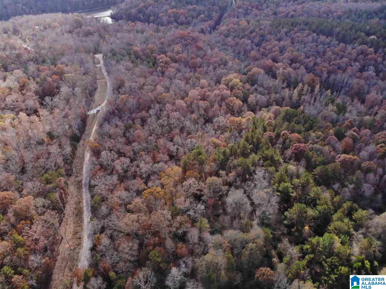 0 Harbour Point Drive, Unit LOT Delta, AL 36258 - Photo 3 of 5