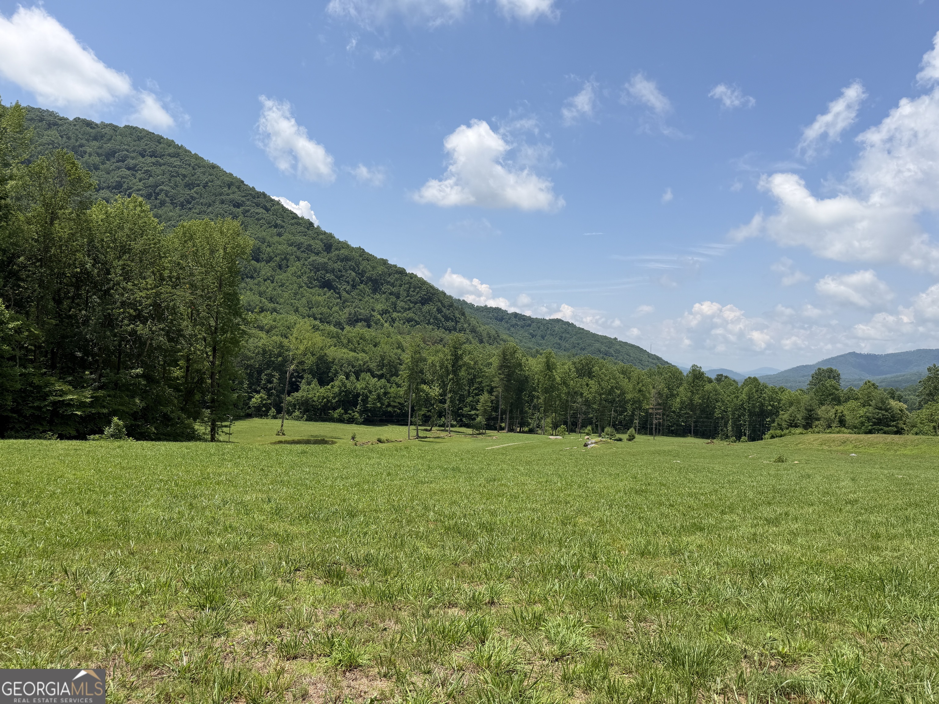 1449 Muskrat Creek Road Hayesville, NC 28904 - Photo 76 of 95