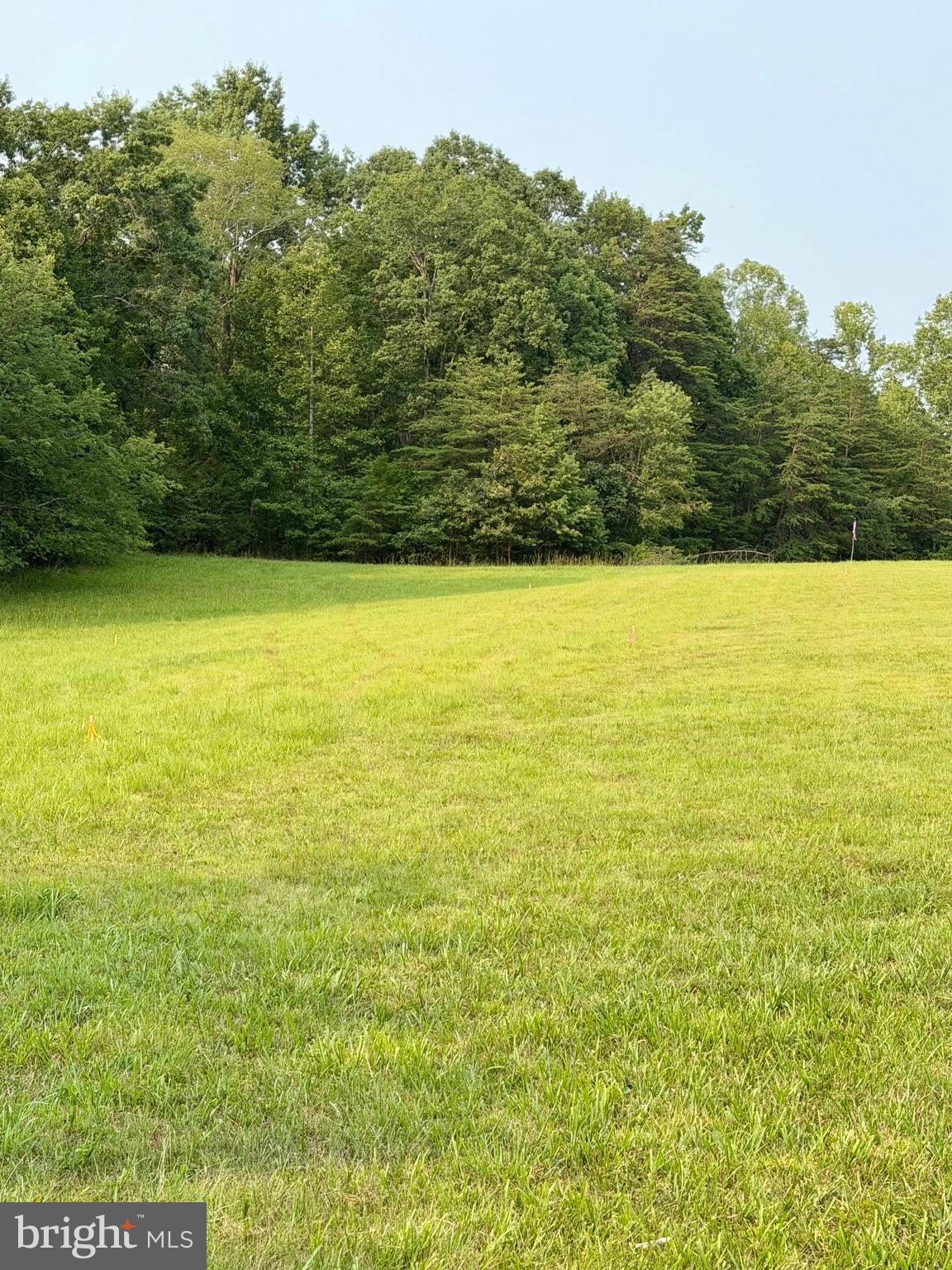 64-56a South Blue Ridge Turnpike Rochelle, VA 22738 - Photo 3 of 4