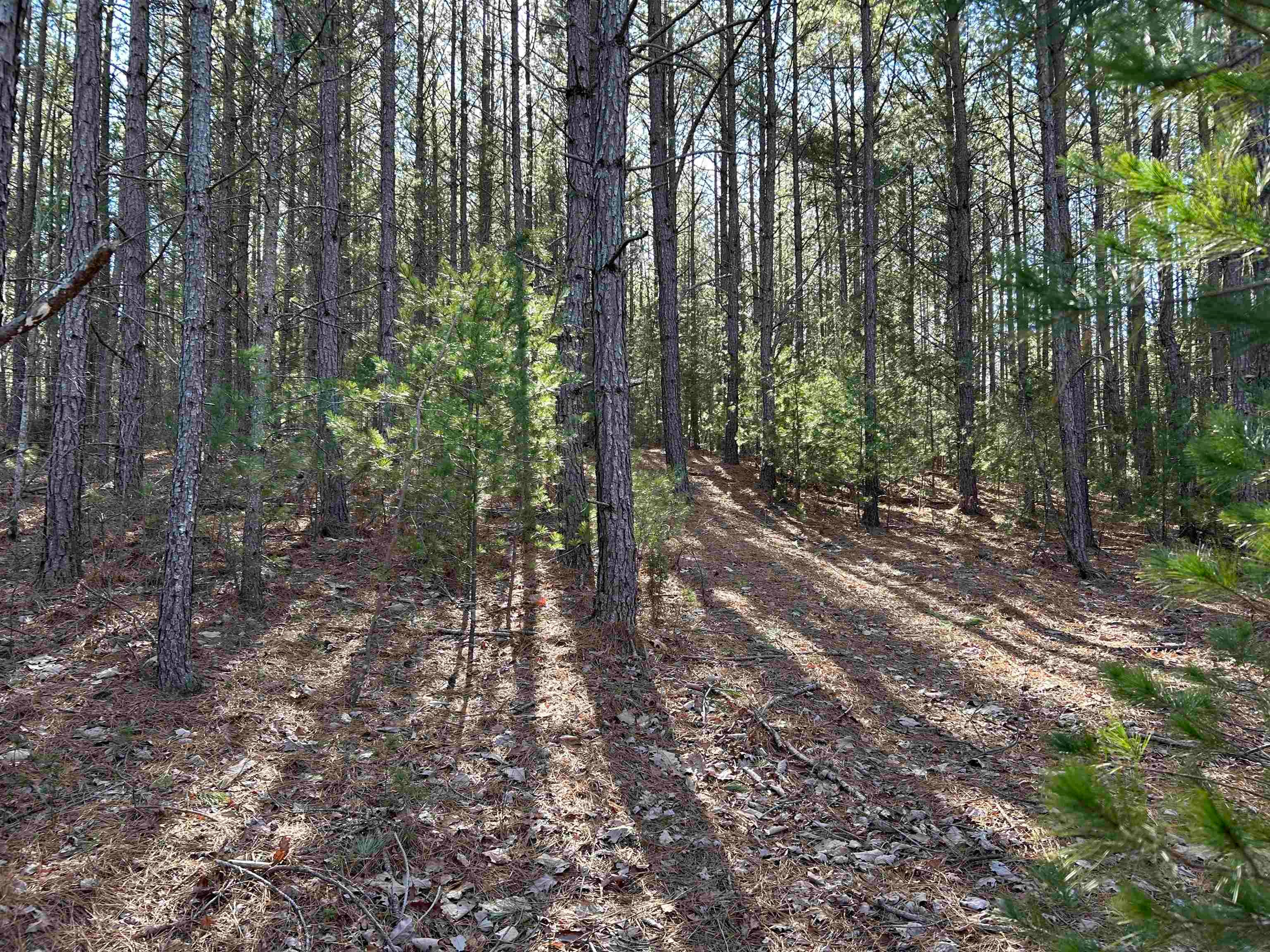 4266 Craig Creek Road Catawba, VA 24070 - Photo 17 of 44 Gallery Image 17