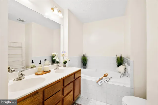 a bathroom with a sink double vanity and a bathtub