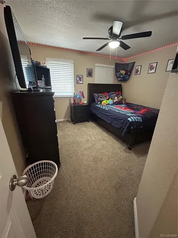 a bathroom with a bath tub and a shower