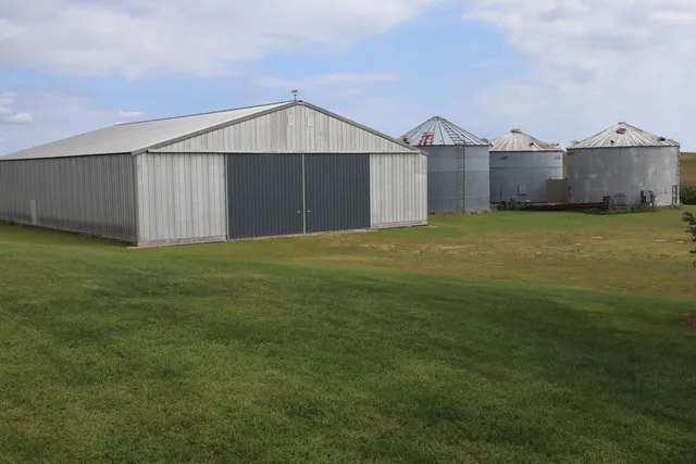 a view of a yard in front of a house with a yard