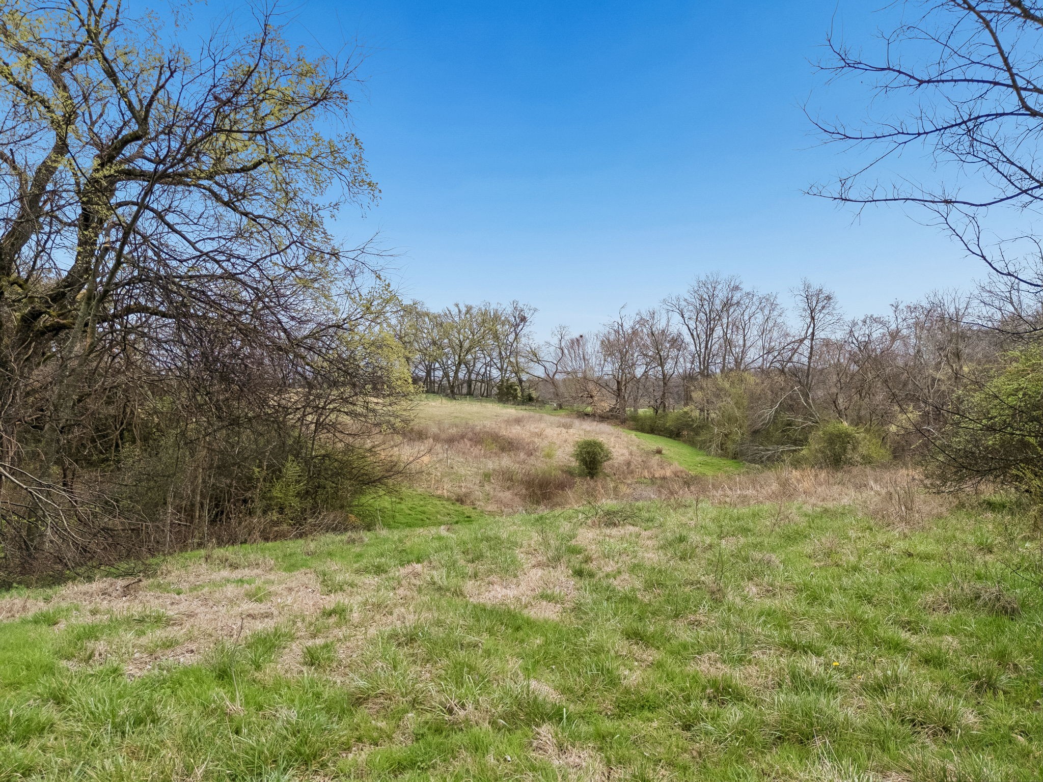 4094 Akin Ridge Road Williamsport, TN 38487 - Photo 47 of 94 Gallery Image 47