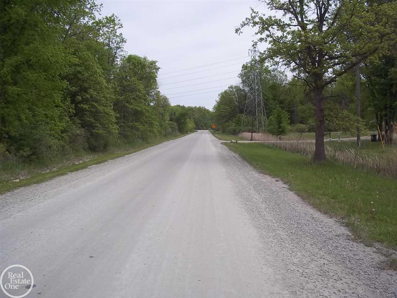 5115 Springborn Road East China, MI 48054 - Photo 41 of 44