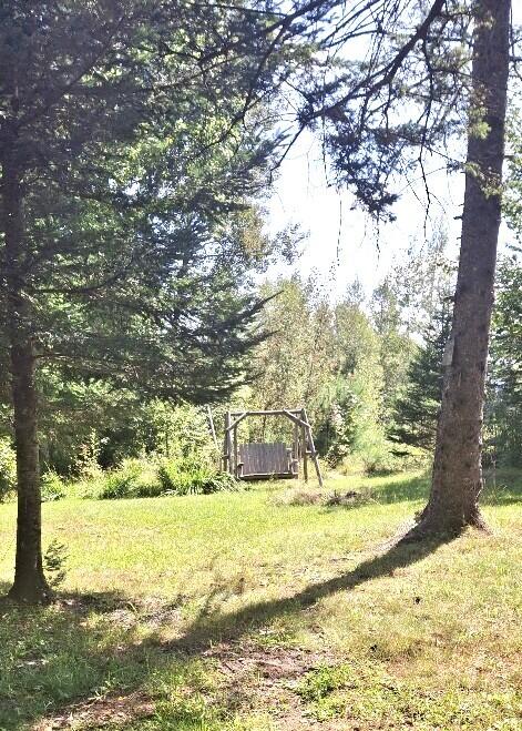 221 Lexington Road Kingfield, ME 04947 - Photo 18 of 20 Yard