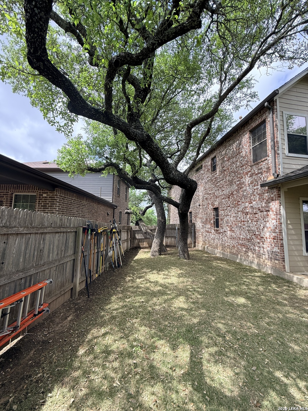 101 Rattlesnake Bluff Boerne, TX 78006 - Photo 23 of 28 a view of a backyard with a tree