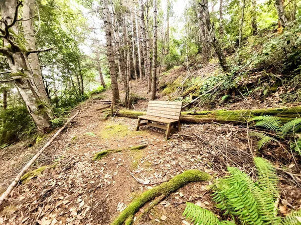 $329,000 | 15551 Forest View Road, Manchester, CA 95459