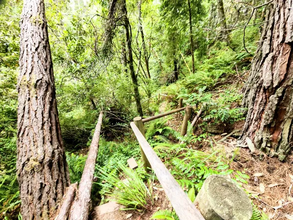 $329,000 | 15551 Forest View Road, Manchester, CA 95459